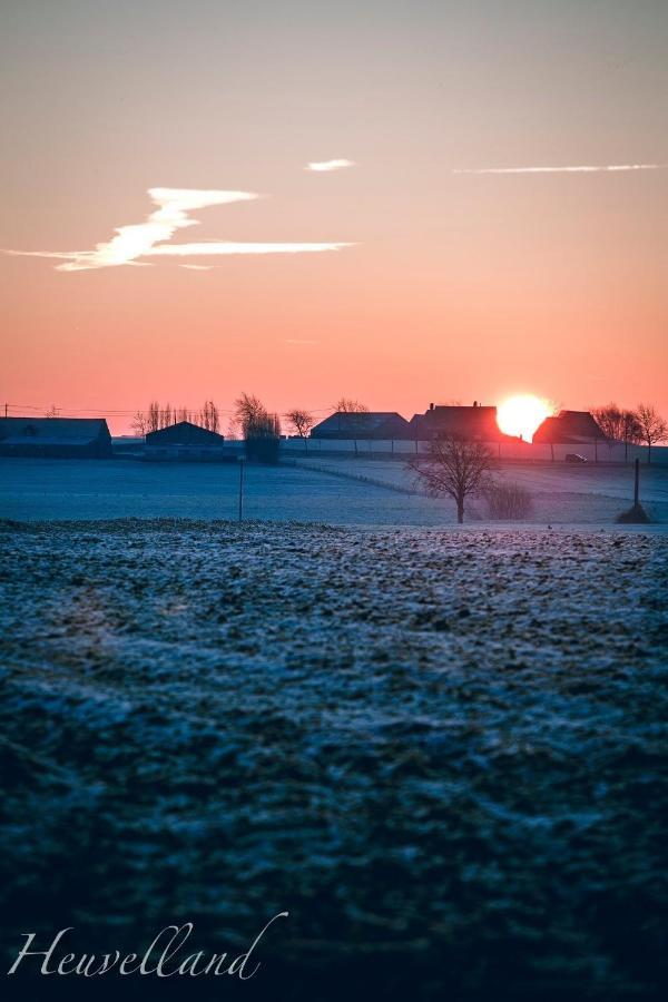 'T Wolvennest Bed and Breakfast Heuvelland Buitenkant foto