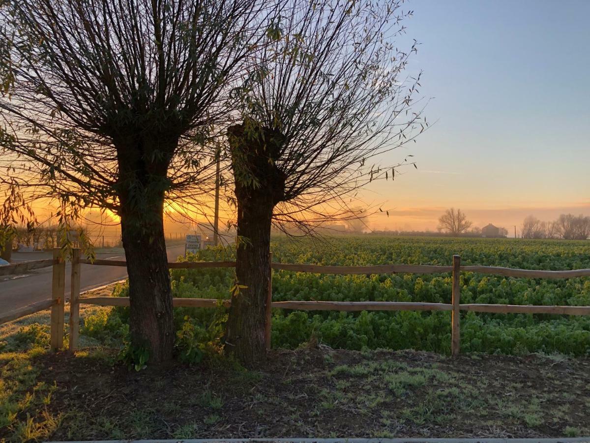 'T Wolvennest Bed and Breakfast Heuvelland Buitenkant foto